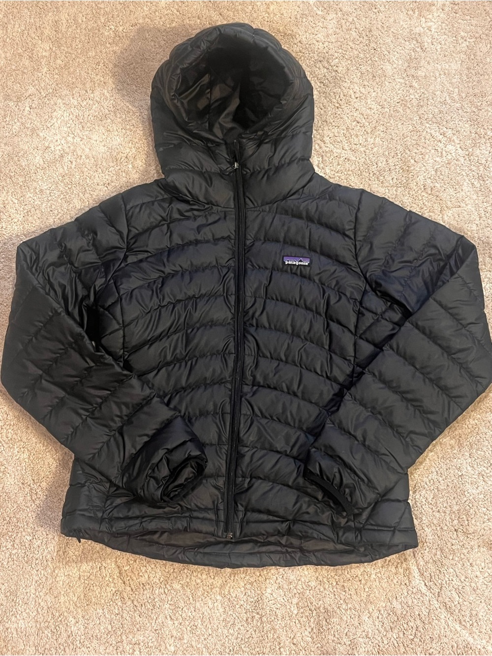 Patagonia Women's Black Down Sweater Hoody Puffer Jacket Size Large L 84711